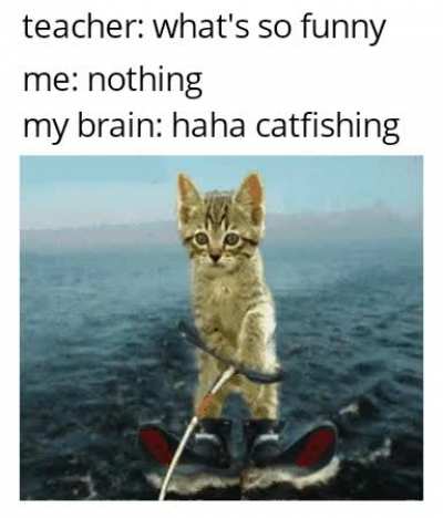 Dammit I fell for it again
