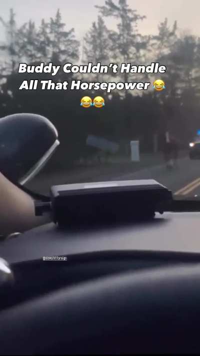 Don't you know it's illegal to horse around