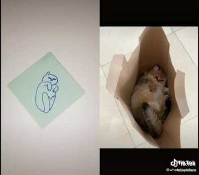 (○｀&omega;&acute;○) cat