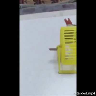 Perpetual torment
