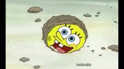 I wish squidward did this WARNING: there will be cussing