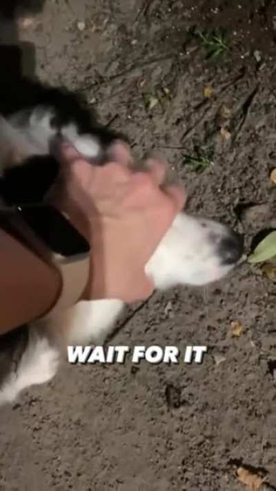 what do you have there?