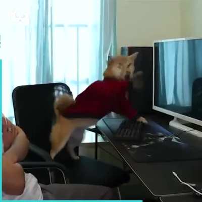 Turn it on HUMAN.