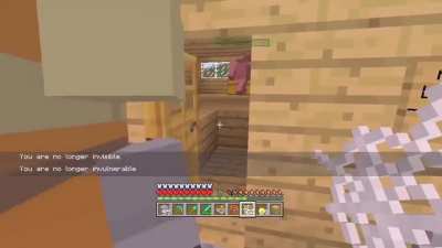 There&rsquo;s nothing better than good old Minecraft trolling videos.