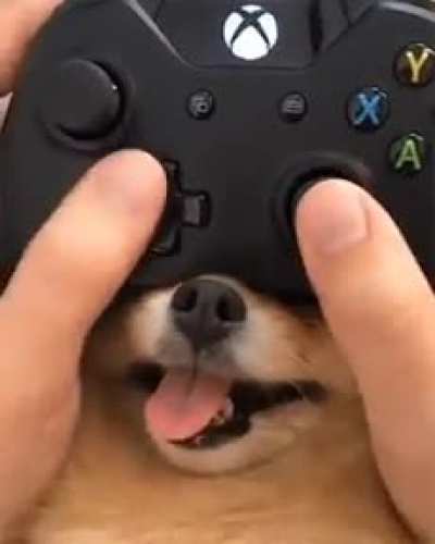 Extra buttons
