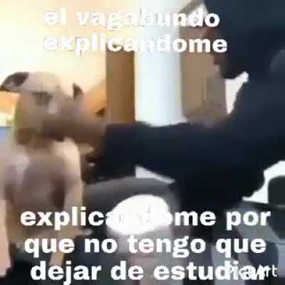 T&iacute;tulo