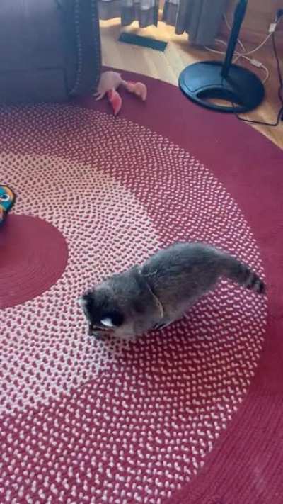 Somersaults