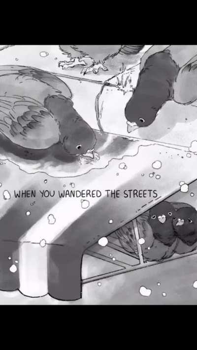 Job- A Pigeon Story by Sydney Anderson