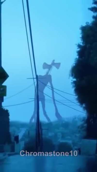 Solo 3 dias