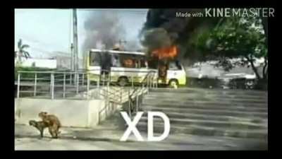 HORA DEL XD lol