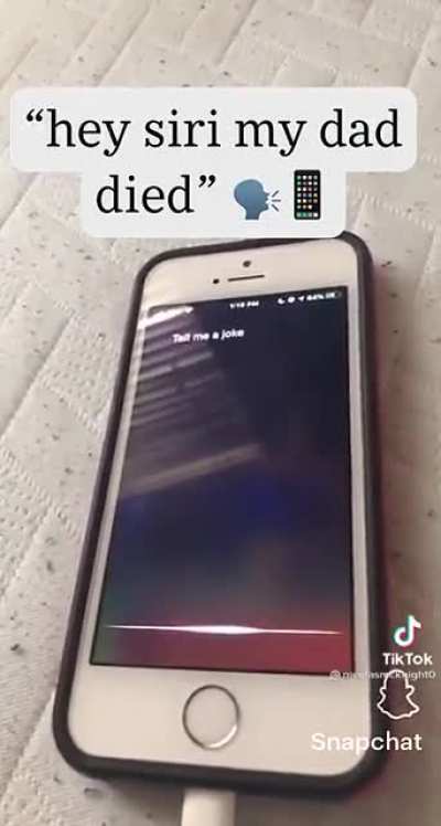 Siri jokes...