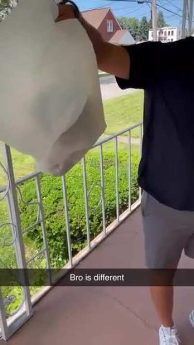 Unorthodox way of removing a wasps nest