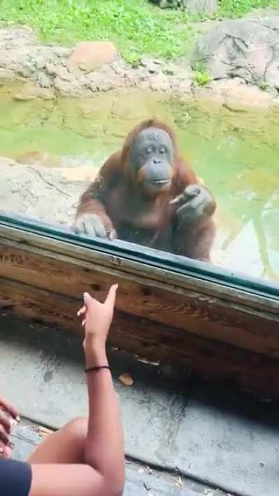 He&rsquo;s a smart boy, yes he is