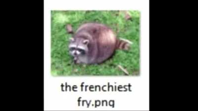 Bonk