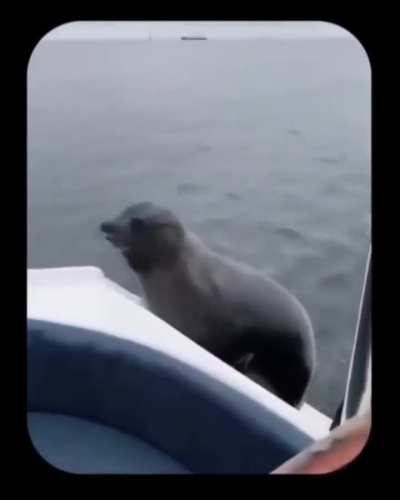 Water Bus