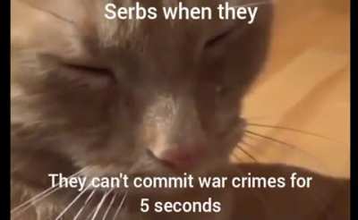 Glory to Bosnia