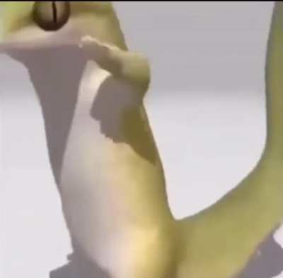 My Servine running through Clay&rsquo;s gym knowing it&rsquo;s the only good matchup he gets all game