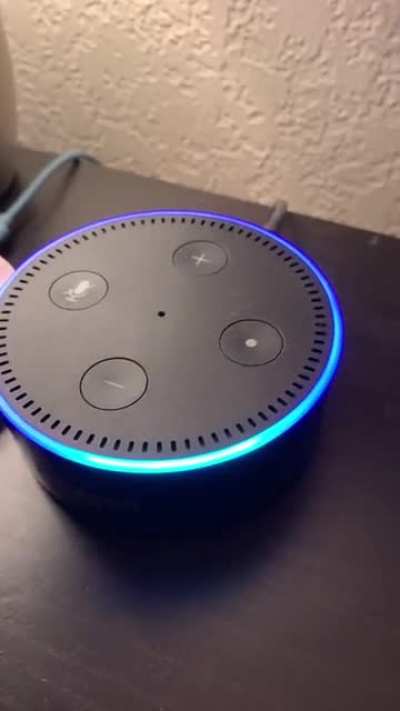 Alexa is dirty AI!