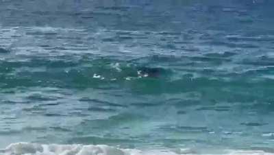 Ke Iki Beach, O&rsquo;ahu, HI