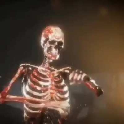 EVEN MORE SKELETONS