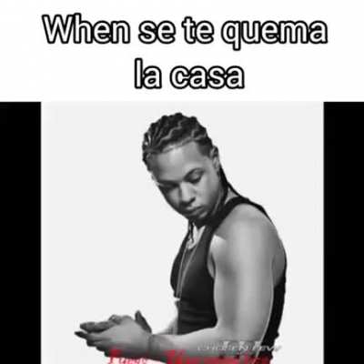 BeelcitosMemes - Video #8504