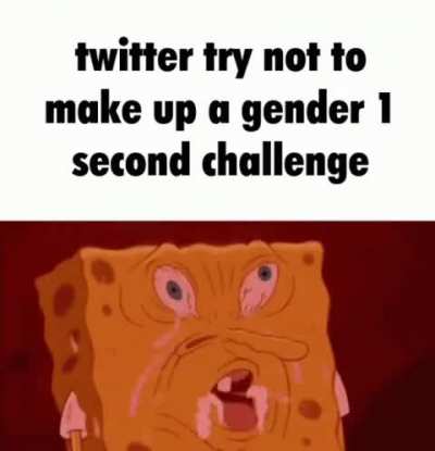🐦🐦🐦