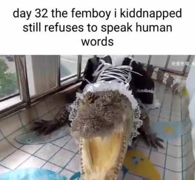 Let him go 