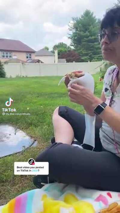 Father&rsquo;s Day Picnic