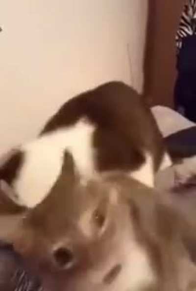 It hurts wtf!
