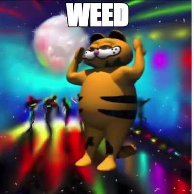 Wed is cool😎