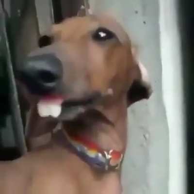 😃👍