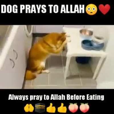 🕋🕋🕋🕋🕋🕋