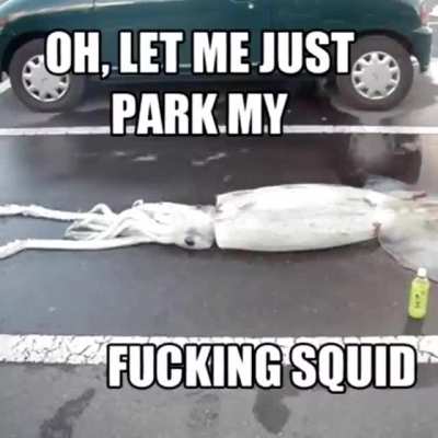Squid