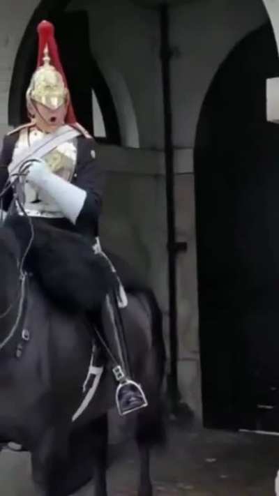 Video creator claims that the Queen&rsquo;s Guard &ldquo;verbally attacked&rdquo; their step mum&hellip; when it&rsquo;s against the rules to touch the Guard or their steeds