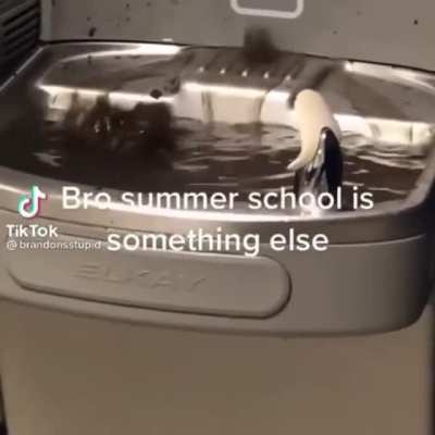 I don&rsquo;t think you should drink that water