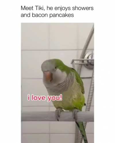Tiki is showering and enjoying it