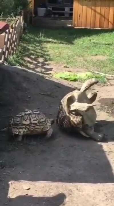Bro, I got you!