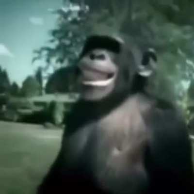 Monke prank