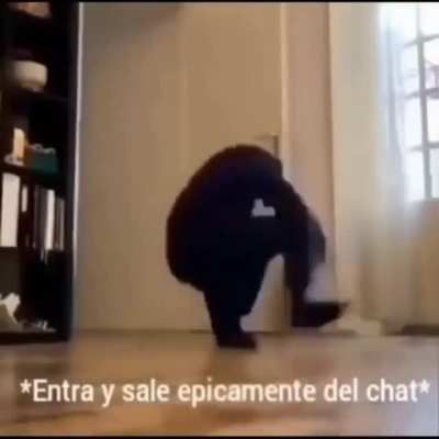 *Viene y se va*