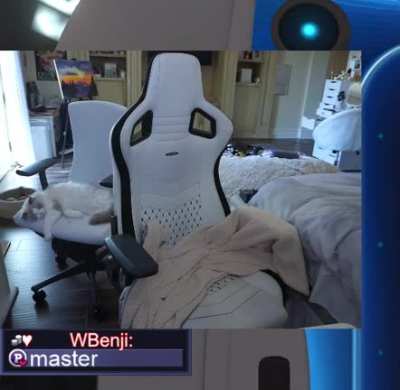Thicc