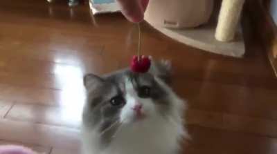 NFC