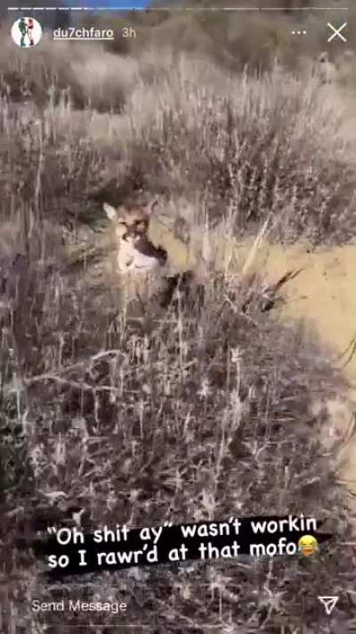 Kid hiking almost gets mauled by a baby&hellip;