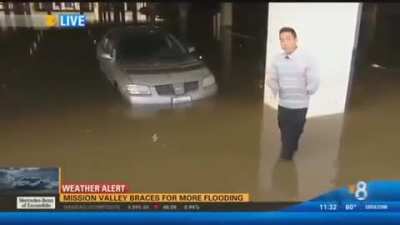 Flooded parking lot freakout on TV
