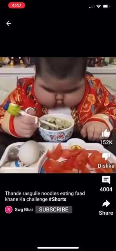 小支豬的成長日記