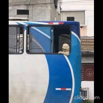 ,
