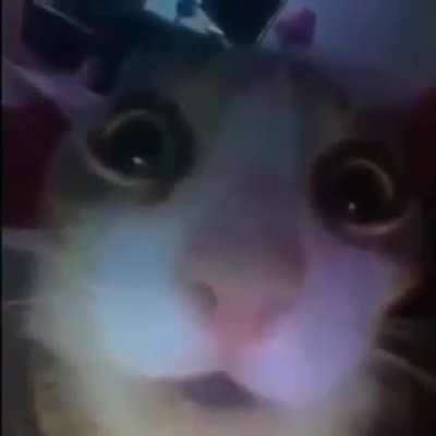 wuthahell