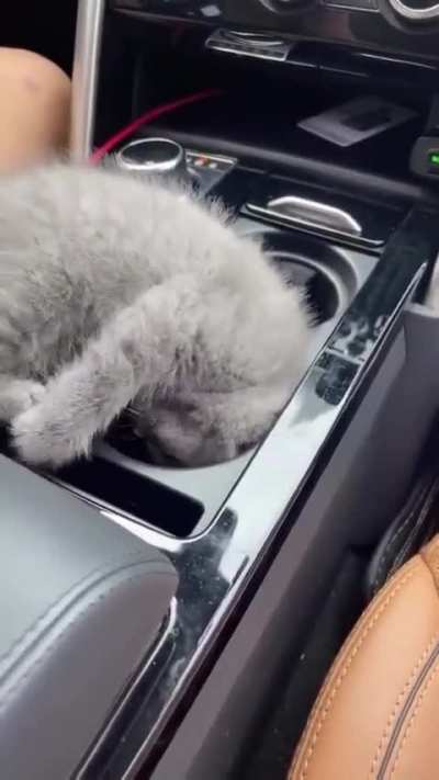Sleeping in a car