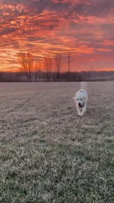 Recently moved back from California. Mornings like these make it a bit easier.