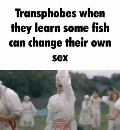 I love fish sticks