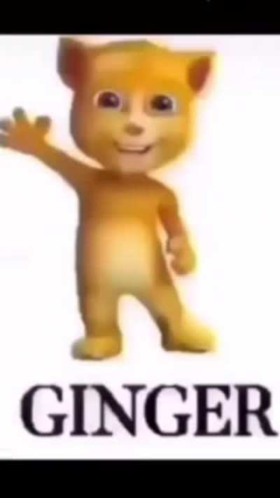 GINGER